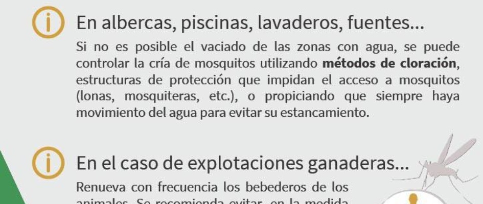 530440999_1193861086104869_3625279669095312654_n