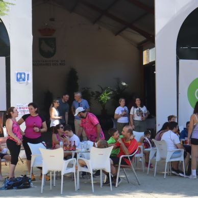 556540798_1243046434519667_8493360788498276696_n