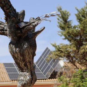 559128517_1251297047027939_5674624664239732770_n