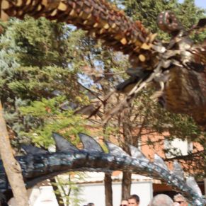 559186692_1251297110361266_1132139744583799588_n