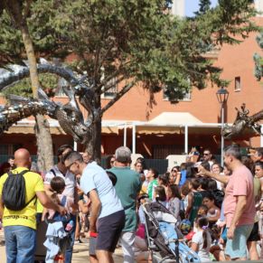 559355309_1251297180361259_6971826941472220673_n