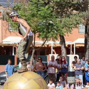 559429748_1251296857027958_3838288591707295397_n