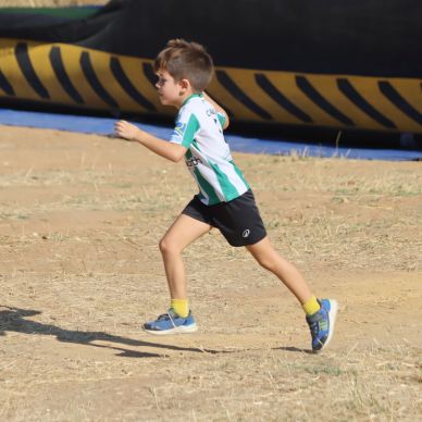 559683725_1243045237853120_8656951091577605974_n