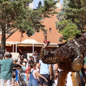 561196928_1251297150361262_3244075317532212301_n