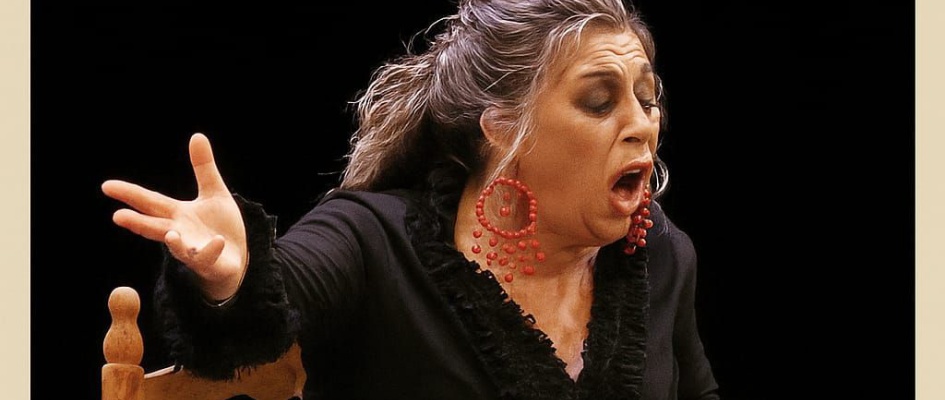 561414894_1252709073553403_4931068350906105309_n_