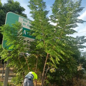 571768680_1268114762012834_7826108957558150650_n