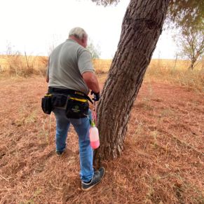 579915939_1278818170942493_3468853283634698294_n