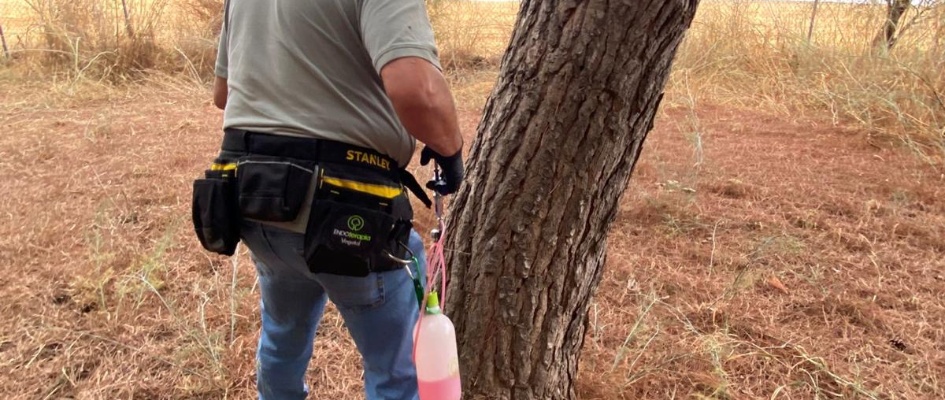 579915939_1278818170942493_3468853283634698294_n