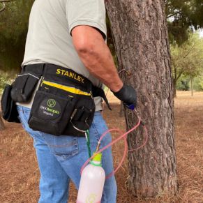 580701753_1278818114275832_3626395024671287228_n