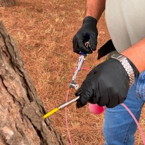 581415769_1278818210942489_7099009579799419644_n