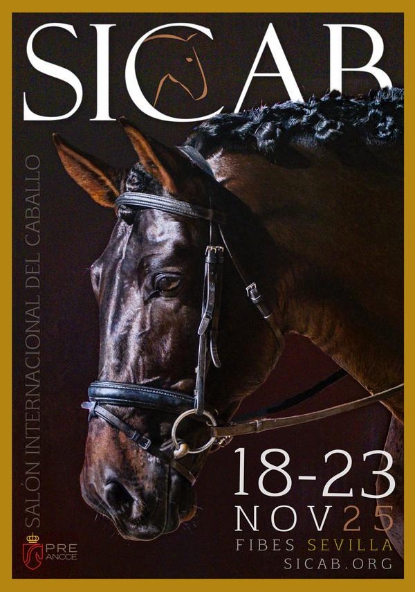 584932016_1285003780323932_7063616909832551781_n