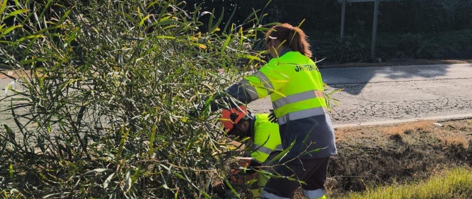 594174143_1298394415651535_2440815311154172674_n