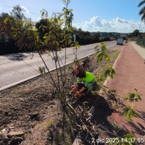 595380191_1298394452318198_6642043876777194341_n