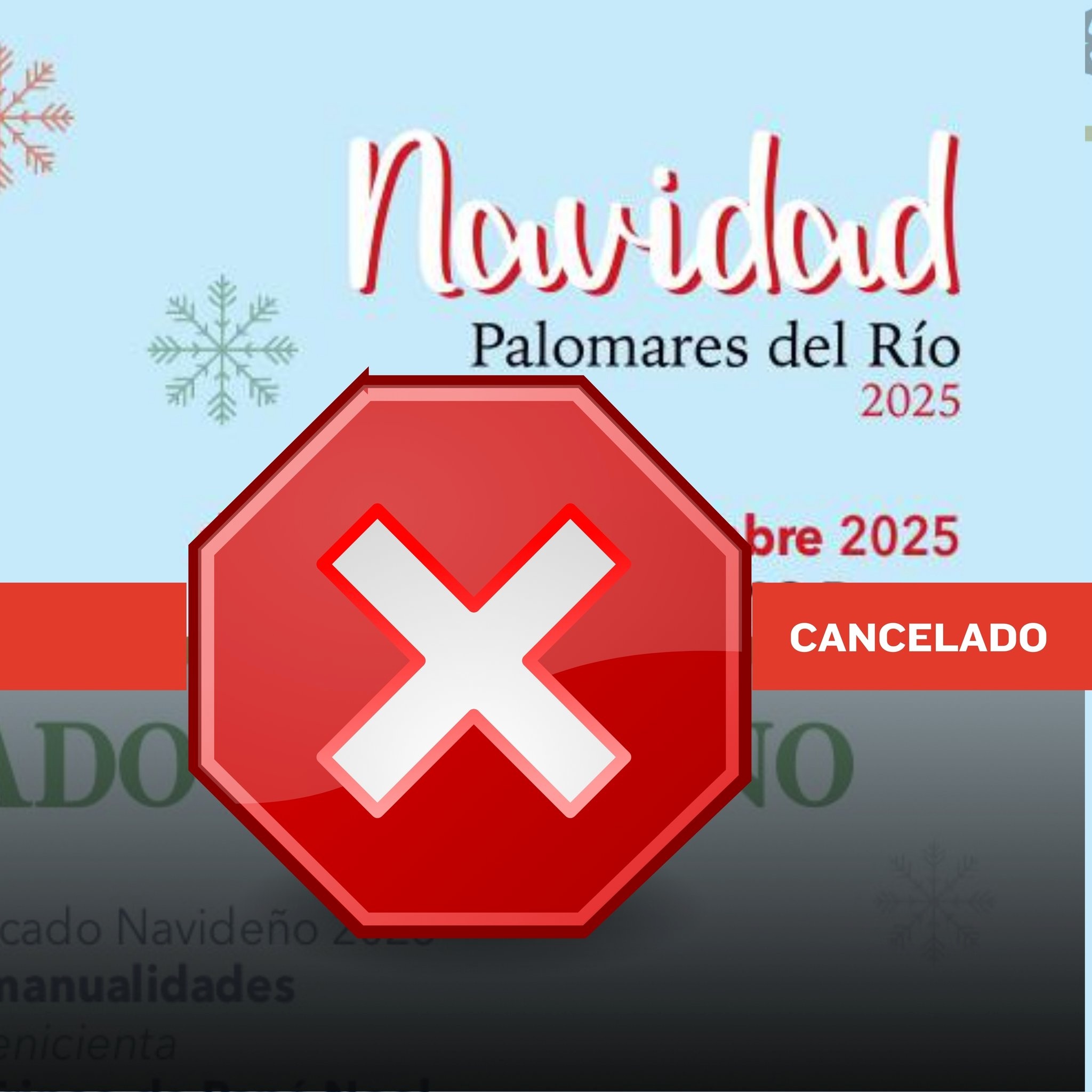 596138794_1303071278517182_253231906519369222_n