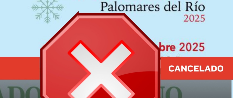 596138794_1303071278517182_253231906519369222_n