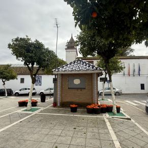 633577234_1360291806128462_5115383677068073346_n