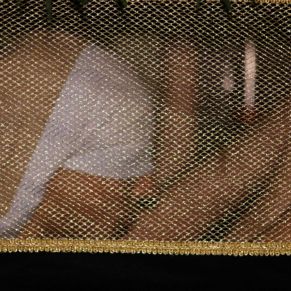 658360441_1394641476026828_5986738300667554579_n