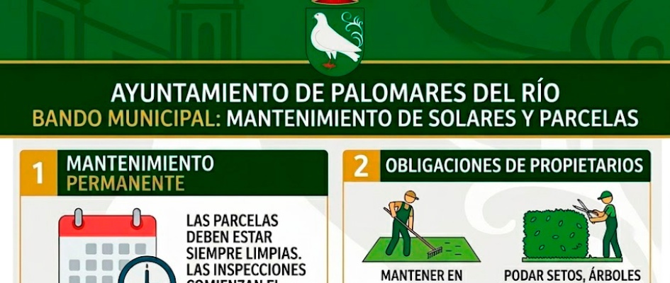 mantenimientoSolareesParcelas_