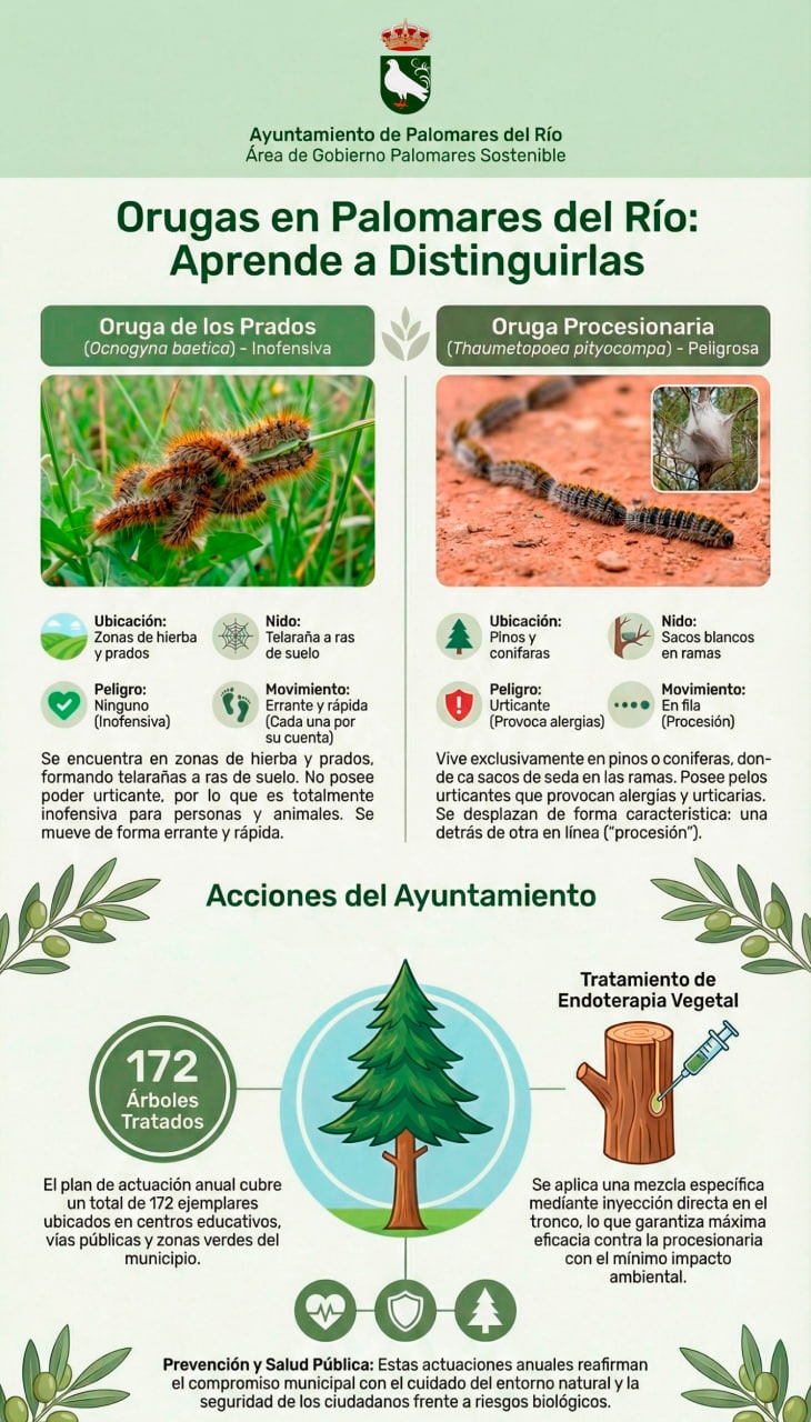 photo_2026-02-20_09-20-53