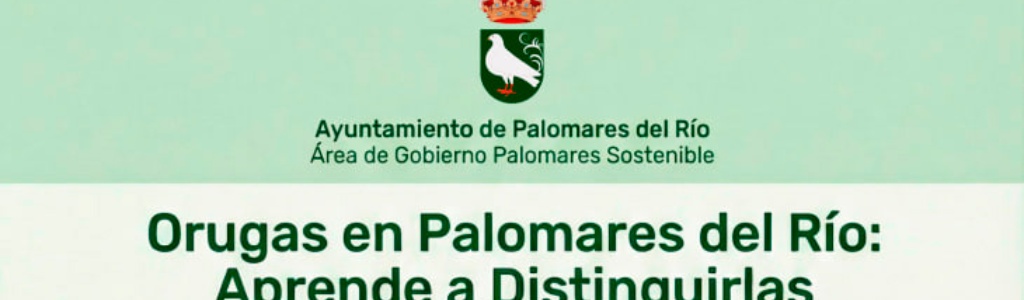 Cómo distinguir la oruga de los prados de la procesionaria del pino