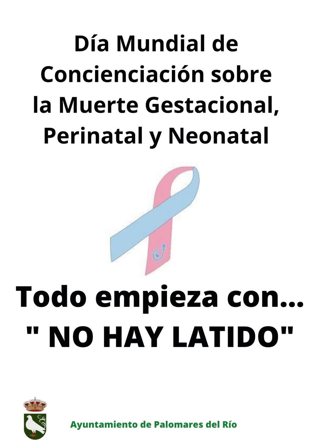 245926045_5016635321699613_6238030594745926671_n