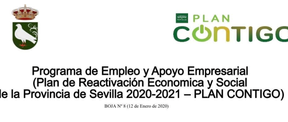 278012262_346701997487453_4166124831428584435_n_