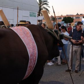 286871066_389976996493286_6674240043488152552_n