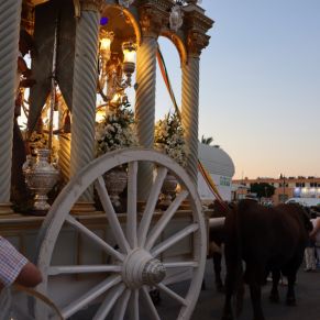 287253016_389976809826638_4834199632282245133_n