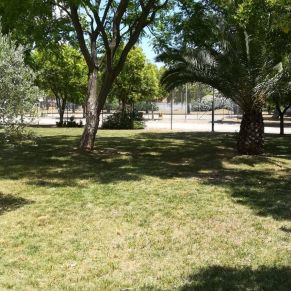 35204862_2130818100281364_502677822658052096_o