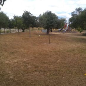 35221958_2130818343614673_5342231552858259456_o