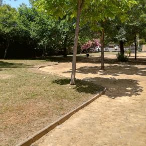 35238204_2130818256948015_8353686630233538560_o