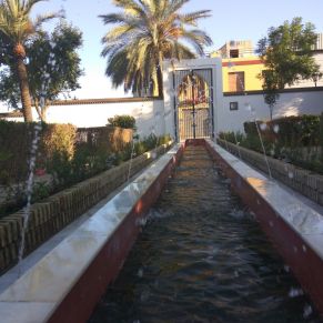 37224904_2184647948231712_1089974987902681088_o