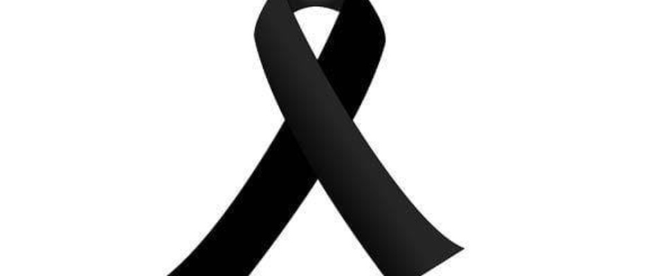 37577015_2193271247369382_5753823208046329856_n