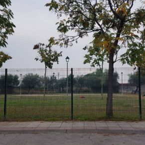 43747898_2337579122938593_2330504689952489472_o