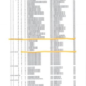 44779506_2336216466408192_8215183933621403648_n