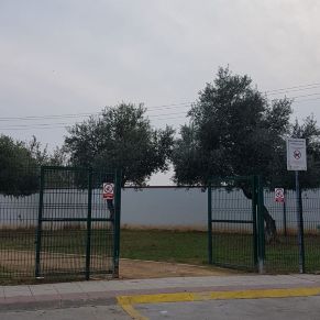 44824214_2337579182938587_7930599245969620992_n