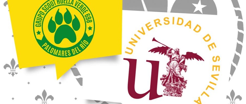 45066091_2342918209071351_7223704842307371008_n