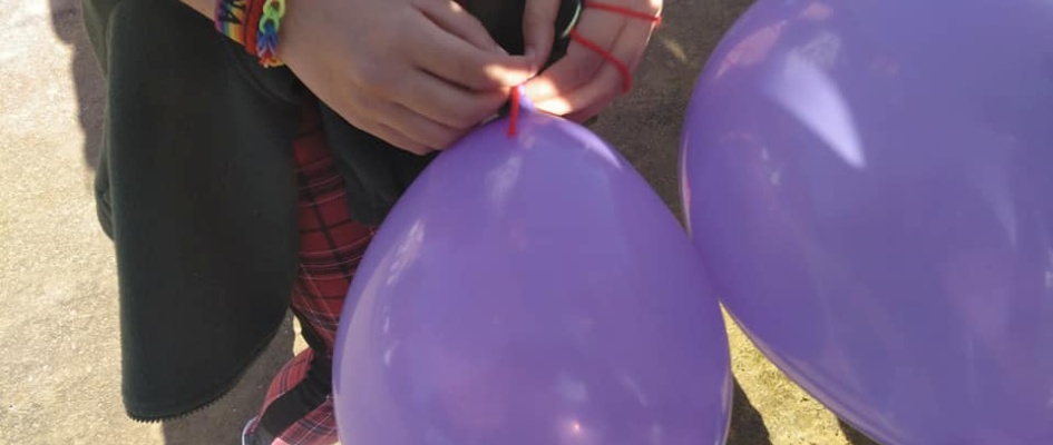 53330505_2545025165527320_4840835855247474688_n