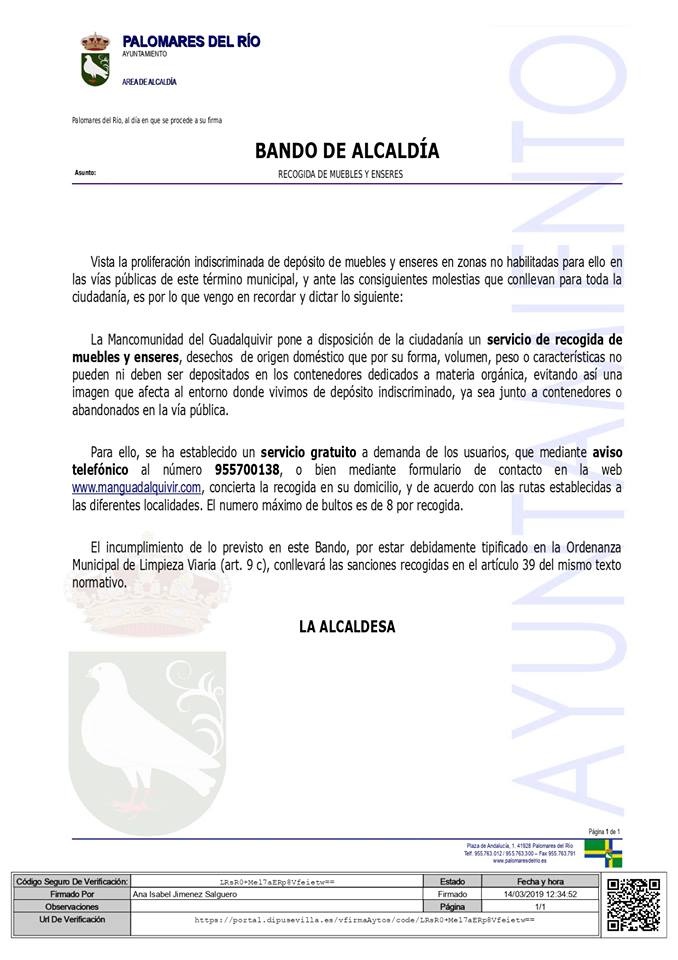 53695311_2556571894372647_8146849878660612096_n