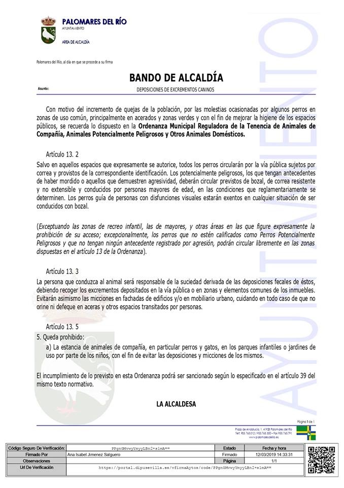 53730276_2555253724504464_5215641691070922752_n