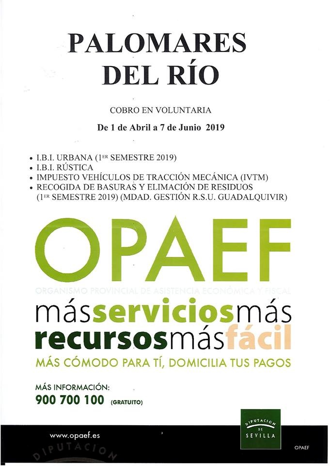 54729941_2574651852564651_6436892367260745728_n