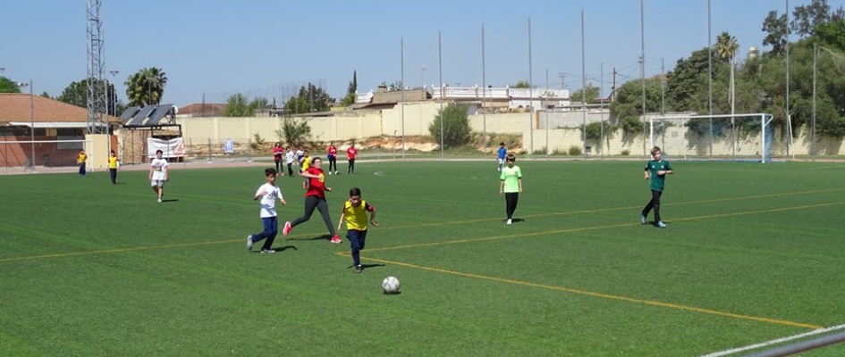 55674554_2579964245366745_6094974972923478016_n