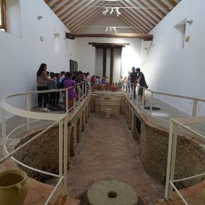 60213840_2658895307473638_96184190571118592_n