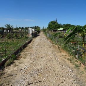 60448349_2668153593214476_207367064069865472_o