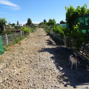 60498536_2668153459881156_1902797763419045888_o