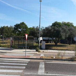 61117675_2671584279538074_9104893478503972864_o