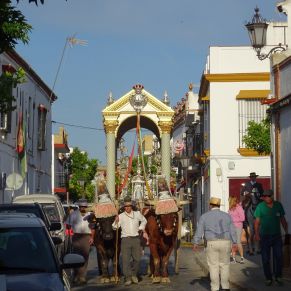 62183833_2698217066874795_4980596388866818048_o