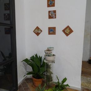 65457476_2752600204769814_5787676269122420736_n