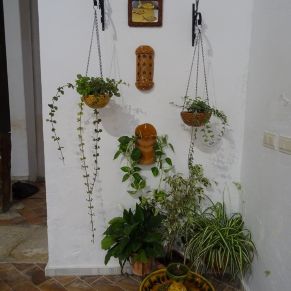 66127698_2752600681436433_335784705024589824_n