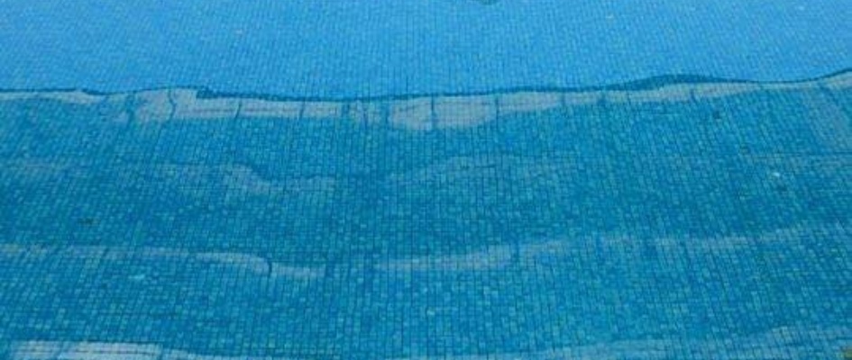 74293652_3011250048904827_7619426657761230848_n